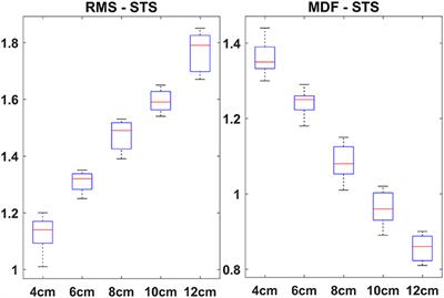 Does Heel Height Cause Imbalance during Sit-to-Stand Task: Surface EMG Perspective